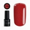 Color IT Premium 1120