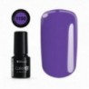 Color IT Premium 1150