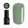 Color IT Premium 540