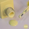 Fantasy Gel Polish 12ml - 029