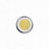 LIMONE GLITTER