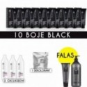 10 Boje Black+ shampo NOIR 1000ml FALAS