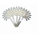 Ekspozitor Transparent Forme Lule