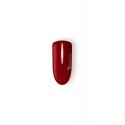 Gel Sacher 5 g 6400