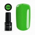 Color IT Premium 1000