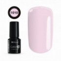 Color IT Premium 1010