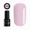 Color IT Premium 1020