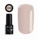 Color IT Premium 1310