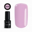 COLOR IT PREMIUM 1610