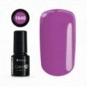 COLOR IT PREMIUM 1640
