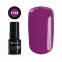 COLOR IT PREMIUM 1650