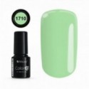 COLOR IT PREMIUM 1710
