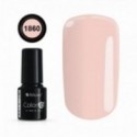 COLOR IT PREMIUM 1860