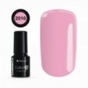 COLOR IT PREMIUM 2010