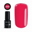 COLOR IT PREMIUM 2050
