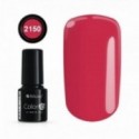 COLOR IT PREMIUM 2150