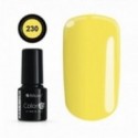 Color IT Premium 230