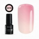 COLOR IT PREMIUM 2570