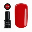 Color IT Premium 2920