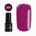 Color IT Premium 2930