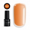 Color IT Premium 2990