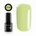 Color IT Premium 3130