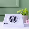 Aspirator Max 100wat