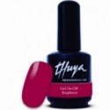 Gel On-Off Raspberry