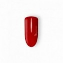 ROSSO GAMAX 6202