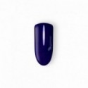 VIOLA INTRIGO 6209