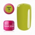 Base One Color Gel 78