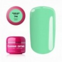 Base One Color Gel 74