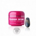 Base One Magnetic Chameleon 3