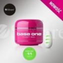 Base One Paint Gel 11