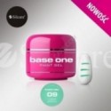 Base One Paint Gel 9