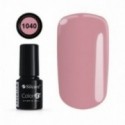 Color IT Premium 1040