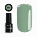 Color IT Premium 550