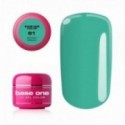 Base One Color Gel 61