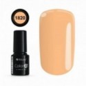COLOR IT PREMIUM 1820