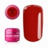 Base One Color RED 15