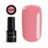 Color IT Premium 1070