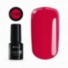 Color IT Premium 1100