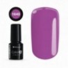 COLOR IT PREMIUM 1640