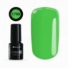 COLOR IT PREMIUM 1750