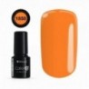 COLOR IT PREMIUM 1850