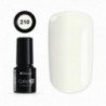 Color IT Premium 210