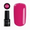 COLOR IT PREMIUM 2100