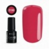 COLOR IT PREMIUM 2150