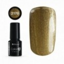COLOR IT PREMIUM 2170