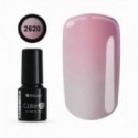 COLOR IT PREMIUM 2620